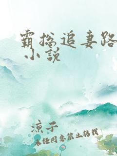 霸总追妻路漫漫 小说