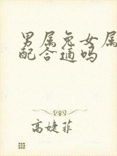 男属兔女属马婚配合适吗