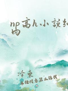 np高h小说纯肉