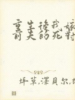 重生后我嫁给了前夫的死对头