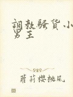 调教骚货小说双男主