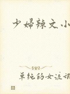 少妇辣文小说网