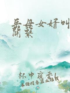 岳母女婿叫什么关系