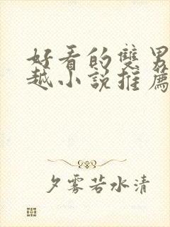 好看的双男主穿越小说推荐