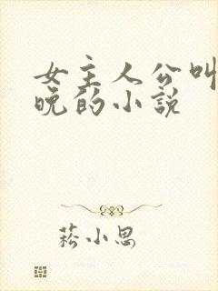 女主人公叫沈星晚的小说