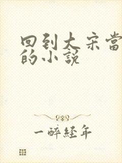 回到大宋当暴君的小说