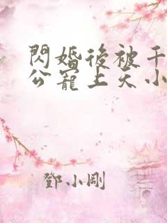 闪婚后被千亿老公宠上天小说