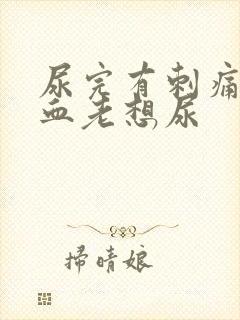 尿完有刺痛感有血老想尿