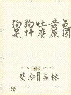 狗狗吐黄色粘液是什么原因