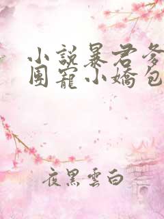 小说暴君爹爹的团宠小娇包txt