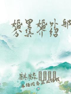 婚里婚外那些事分集介绍