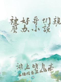 被好哥们亲了怎么办小说