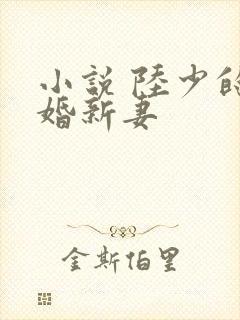 小说 陆少的暖婚新妻