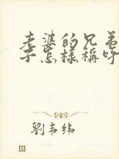 老婆的兄弟的儿子怎样称呼