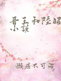 晋王和陆昭菱的小说