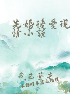 先婚后爱现代言情小说