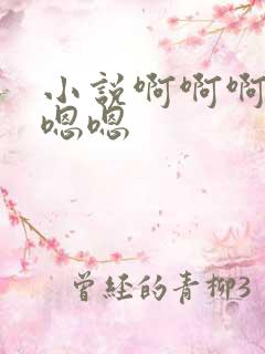 小说啊啊啊嗯嗯嗯嗯