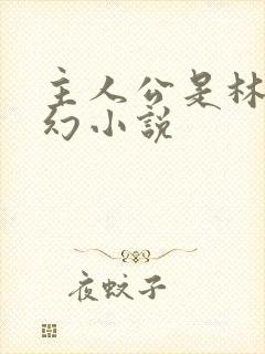 主人公是林天玄幻小说