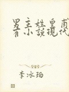 男主姓皇甫的所有小说现代言情