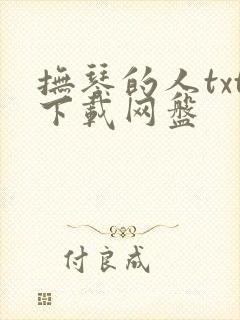 抚琴的人txt下载网盘