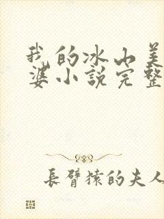 我的冰山美女老婆小说完整