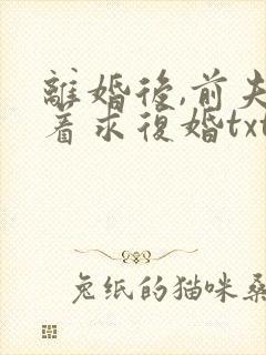 离婚后,前夫哭着求复婚txt