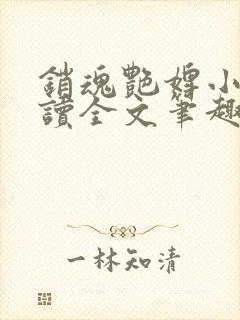 销魂艳婢小说阅读全文笔趣