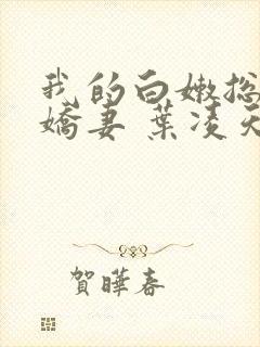 我的白嫩总裁小娇妻 叶凌天