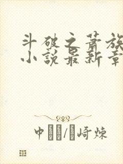 斗破之萧族冰圣小说最新章节