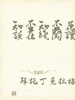 知否知否原著小说在线阅读