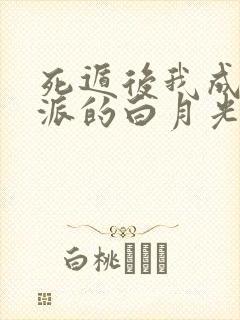 死遁后我成了反派的白月光 画青回