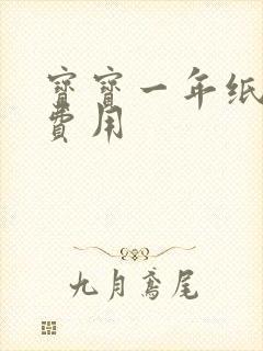 宝宝一年纸尿裤费用