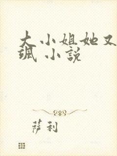 大小姐她又美又飒 小说