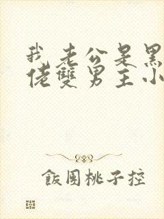 我老公是黑道大佬双男主小说