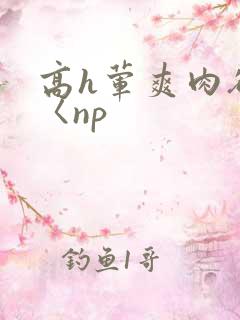 高h荤爽肉欲文〈np