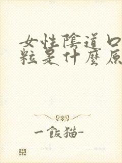 女性阴道口有颗粒是什么原因