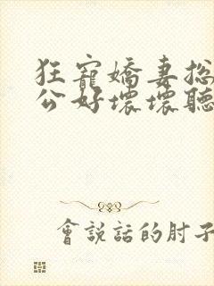 狂宠娇妻总裁老公好坏坏听书免费阅读