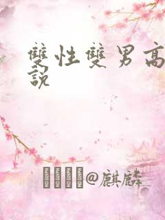 双性双男高h小说