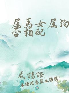 属马女属狗男是否相配