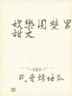 娱乐圈双男主文甜文