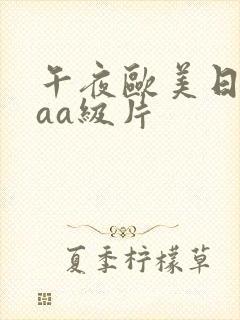 午夜欧美日韩aaa级片