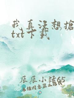 我真没想抢男主txt下载