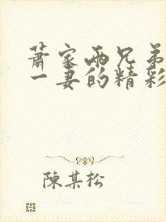 萧家两兄弟共娶一妻的精彩情节分析