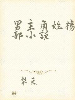 男主角姓杨的全部小说