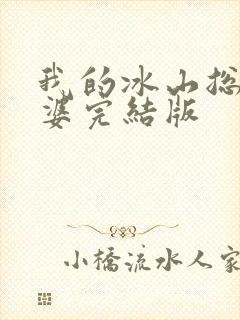 我的冰山总裁老婆完结版