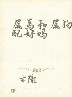 属马和属狗的婚配好吗