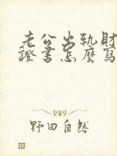 老公出轨财产保证书怎么写