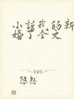 小说我的新郎逃婚了全文