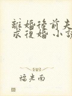 离婚后前夫哭着求复婚 小说阅读