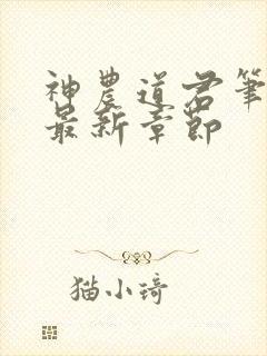 神农道君笔趣阁最新章节